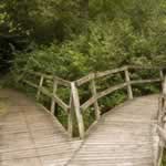 Chhose the right path - IVA or bankruptcy